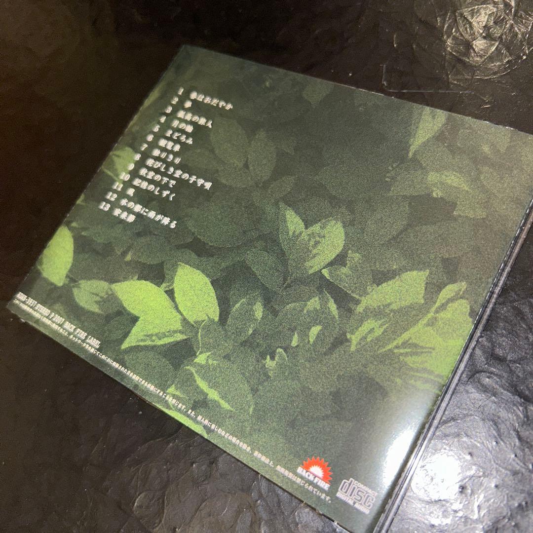 (1068) 直筆サイン入り ノグチアツシ 風 角松敏生 浜田真理子