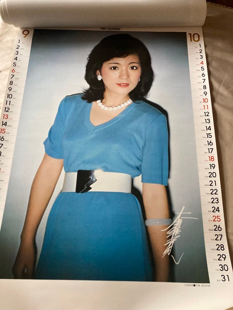 希少1981年 渡辺プロダクションカレンダー 沢田研二 石川ひとみ 太田