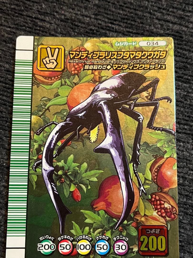 ムシキング/マンディブラリスフタマタクワガタ5周年 マンディブ