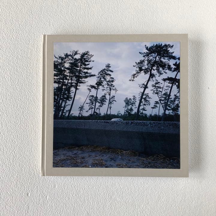 レア　森本美絵　Mie Morimoto ongoing Mie Morimoto: ongoing去りながら 森本美絵 - 古本買取 2手舎/二手舎