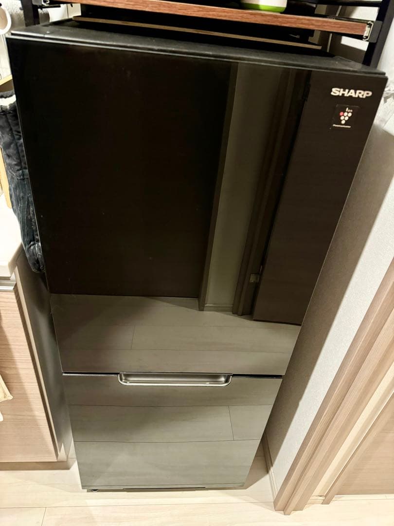 冷蔵庫 SHARP ブラック SJ-GD15G-B 152L 2ドア 冷蔵庫 PLAINLY（プレーンリー） ピュアブラック SJ-GD15G-B [152L /2