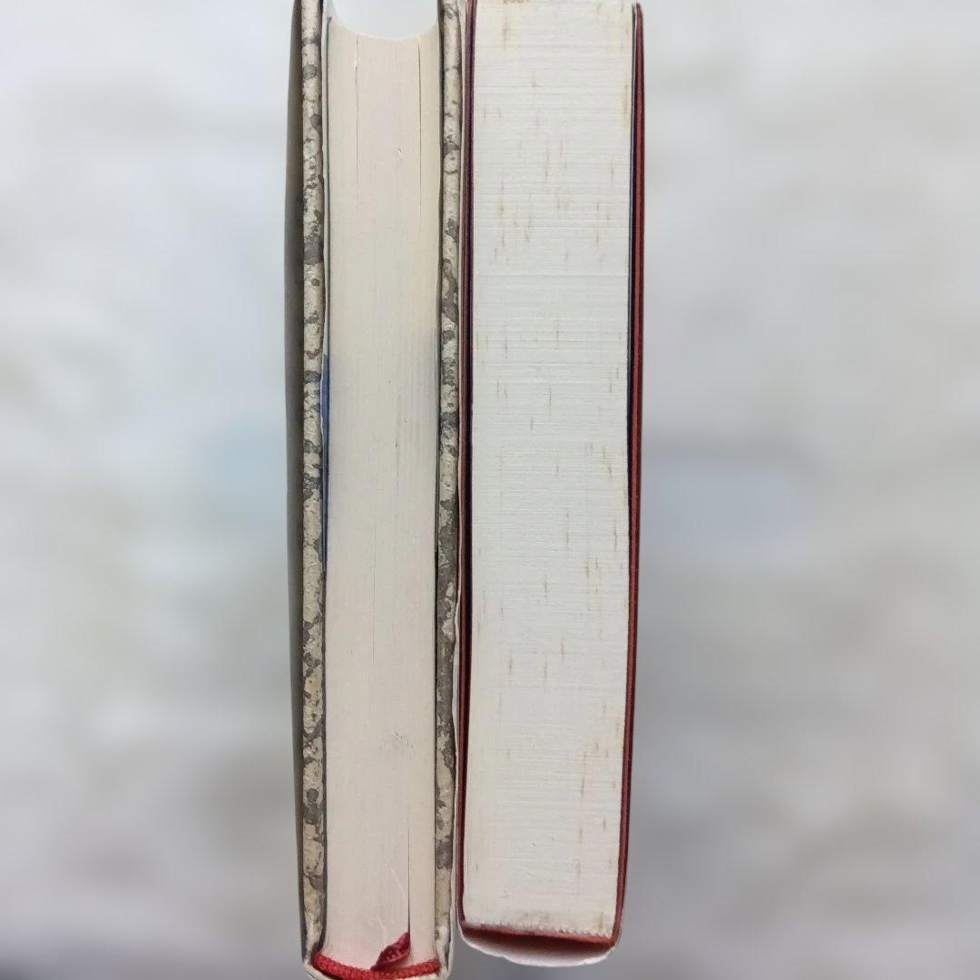 血みどろ臓物ハイスクール/わが母悪魔学 2冊セット　キャシー・アッカーまとめ売り