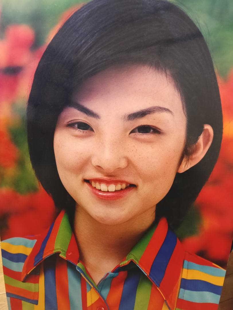 田中麗奈　フジカラー店頭パネル　56cm×90cm×0.8cm