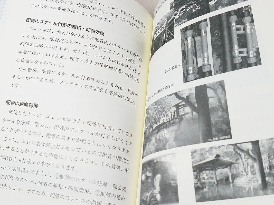 図解 21世紀の生命の水・エレン蘇生水 その究極の健康法と農法 河千田
