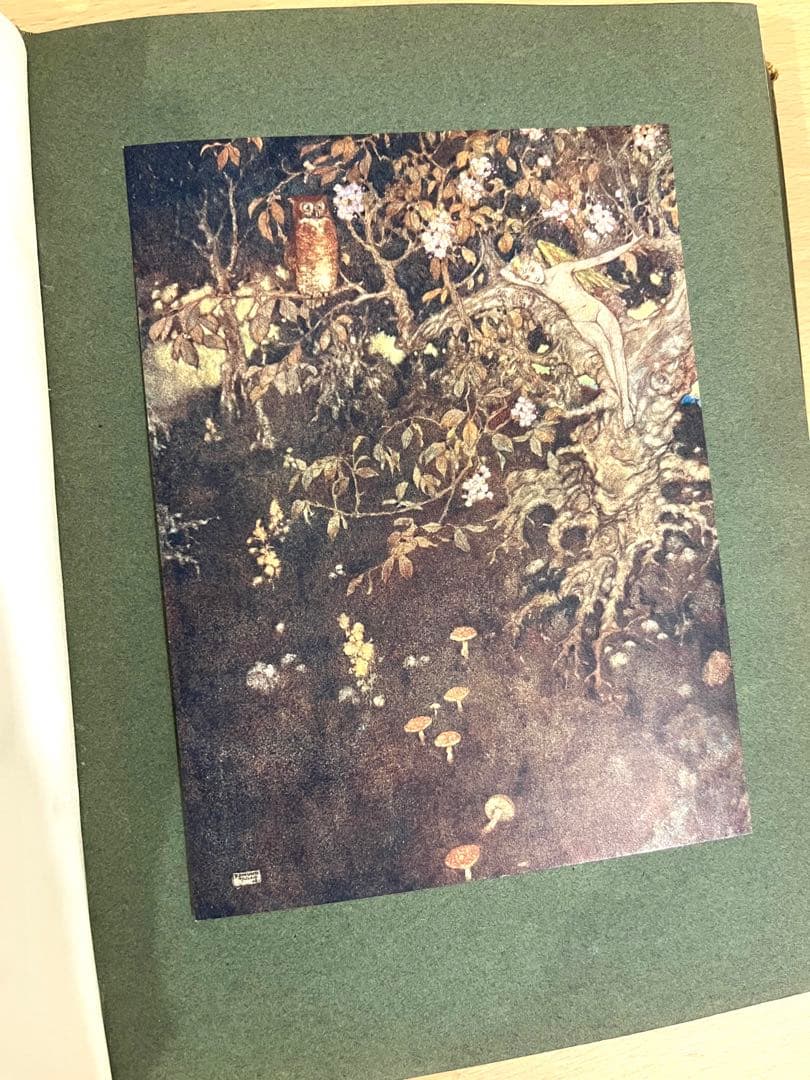 No247レア希少 アンティーク洋書 エドマンド ·デュラック