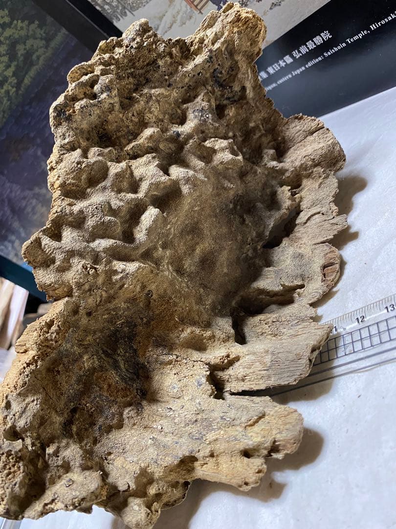 ベトナム産天然香木 希少良香馬蹄泥沈香162.7g 香道聞香用六国五味伽羅