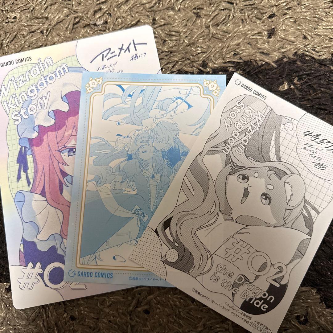 ウィズレイン王国物語 ～竜が花嫁～ 2 （ガルドコミックス）アニメイト