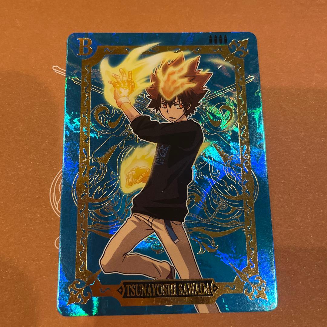 家庭教師ヒットマンREBORN サザンクロスバトル 超死ぬ気モード 沢田