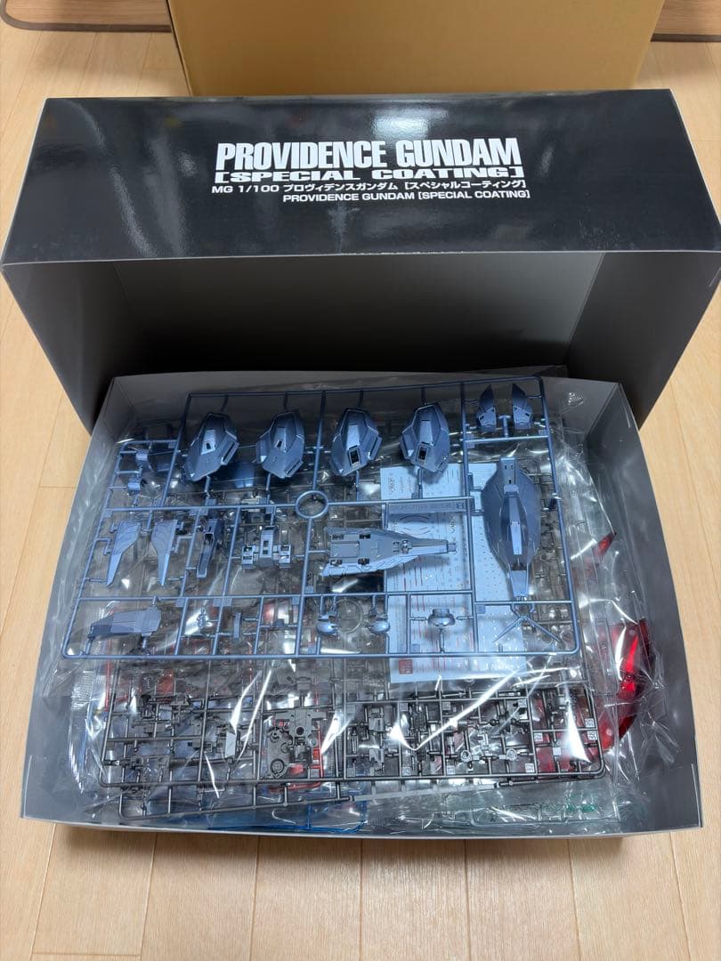 MG 1/100 プロヴィデンスガンダム [スペシャルコーティング] - メルカリ
