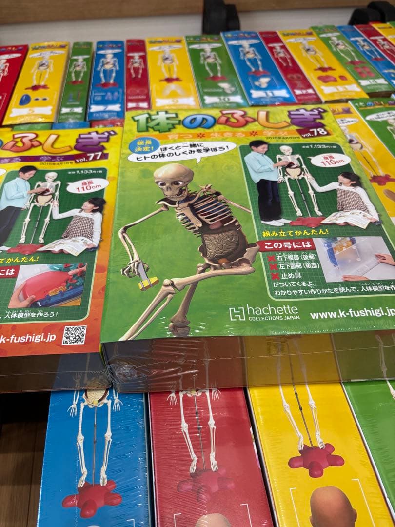 最終値下げ❗️アーサー　人体模型 セット 101個　バインダー14冊付きます