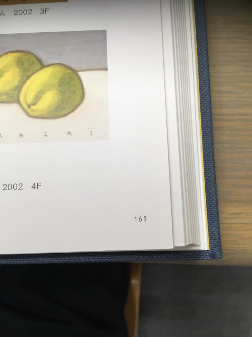 人気作家：笠井誠一の「夏みかん」キャンバスF3号