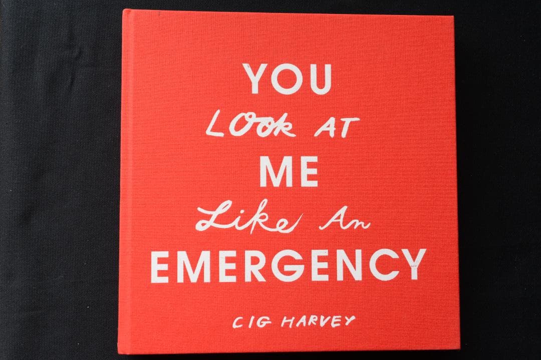 【Cig Harvey: You Look at Me Like an .. 】 CIG HARVEY - YOU LOOK AT ME LIKE AN EMERGENCY - 2007 — Robin Rice