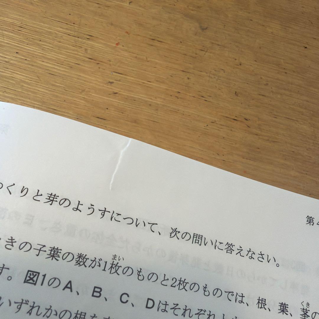 馬渕2019、20年度公開模試Ⅱ期小6 3科セット - メルカリ