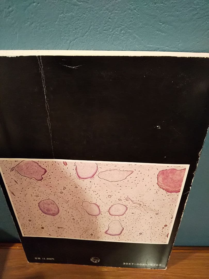 骨形態計測ハンドブック／高橋栄明 著