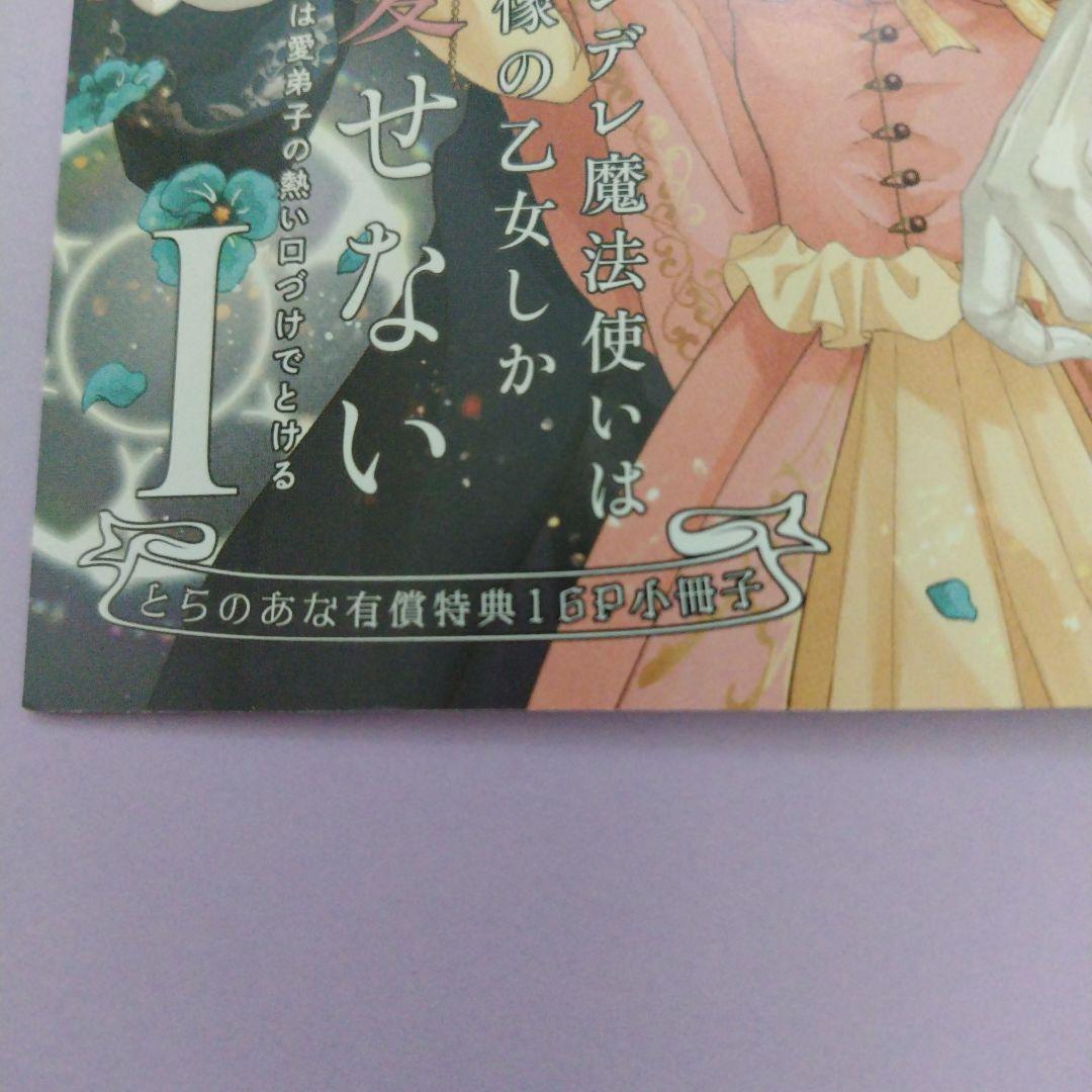 コミック＋小冊子 ✳️ ヤンデレ魔法使いは石像の乙女しか愛せない 1
