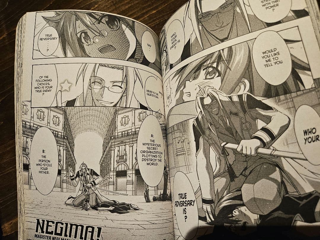 ネギま！全38巻セット　英語版