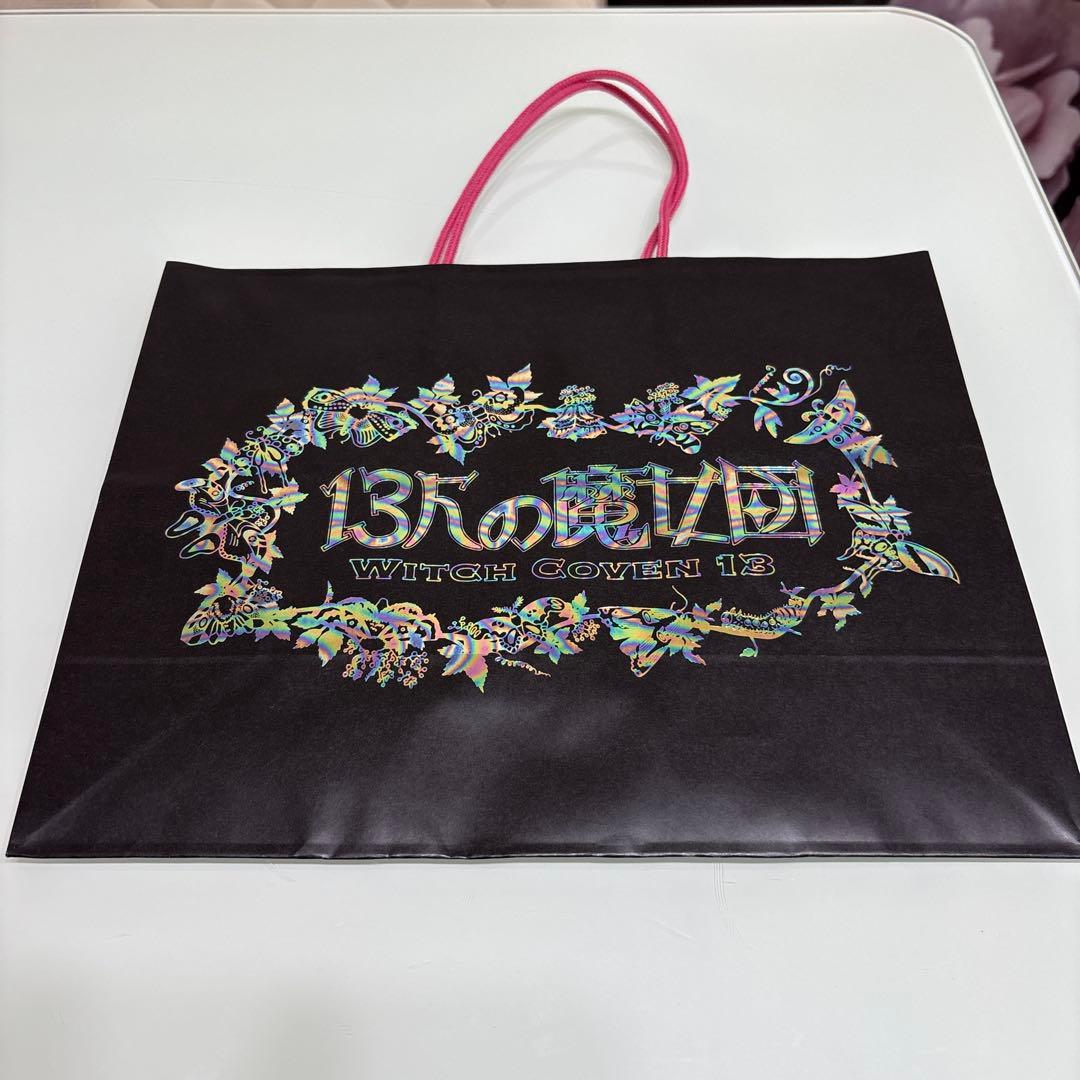 Mサイズ 13人の魔女団 ジブリパーク紙袋 - メルカリ
