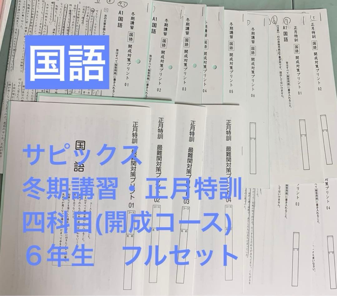 サピックス 冬期講習・正月特訓四科目(開成コース) 6年生 フルセット