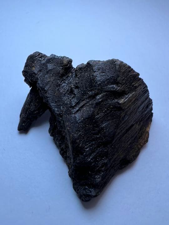 古渡命銘木 名香　中院通村公　真南蛮　銘【高根】3.246g 香木/沈香/伽羅