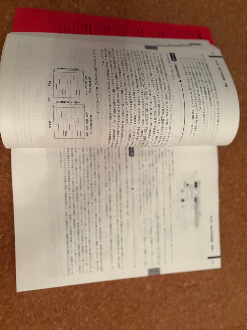 く*ン様 一年分2024鉄緑会生物Aクラス（上位）一式全てあります