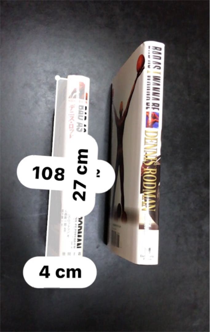 デニス・ロッドマンの「ワルがままに」 : NBAを変える男|mercari