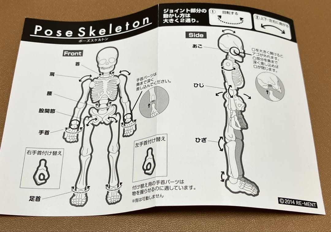 約6箱セット】リーメント ポーズスケルトン ヒト イヌ アクセサリー