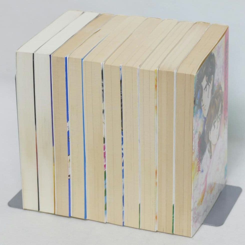 悪霊シリーズ全8巻セット・悪夢の棲む家上下巻 全10巻セット