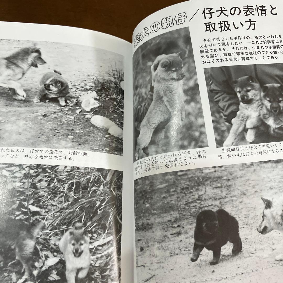 訓練法　初公開　柴犬のスパルタ教育　神崎長三郎著　（株）狩猟界社