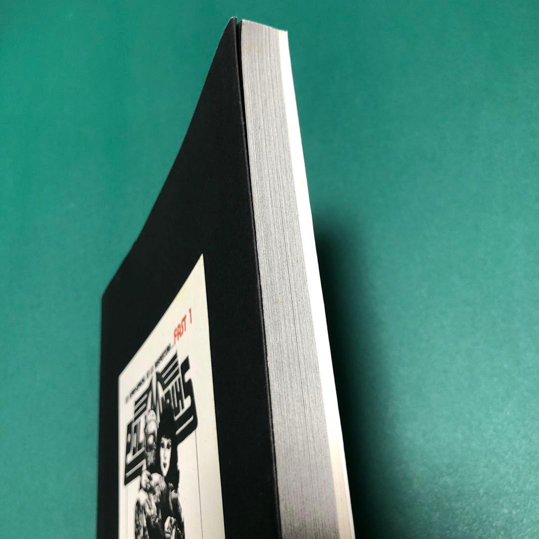 【希少本】Panther's Collection by Mirjam Wirz