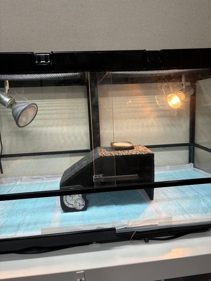 爬虫類ケージ　9045 専用 大型爬虫類ケージ 9045 美品 - 群馬 ペットBRAND【買取 販売 ホテル