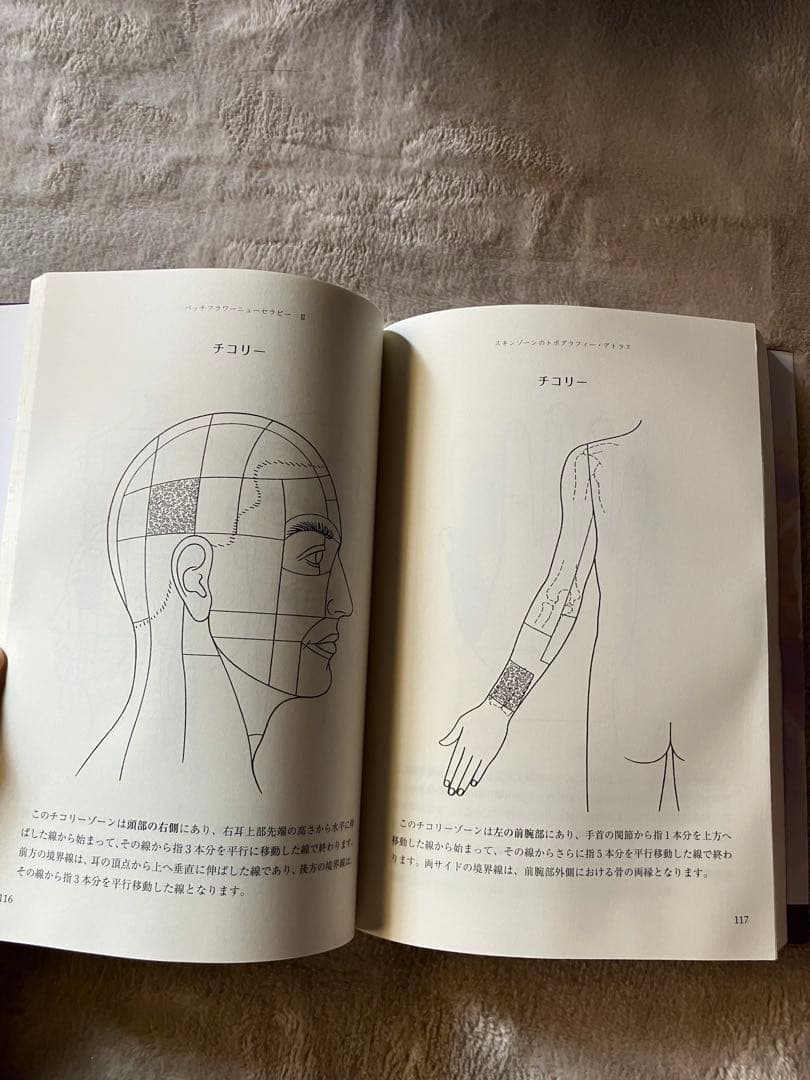 バッチフラワーニューセラピー II - メルカリ