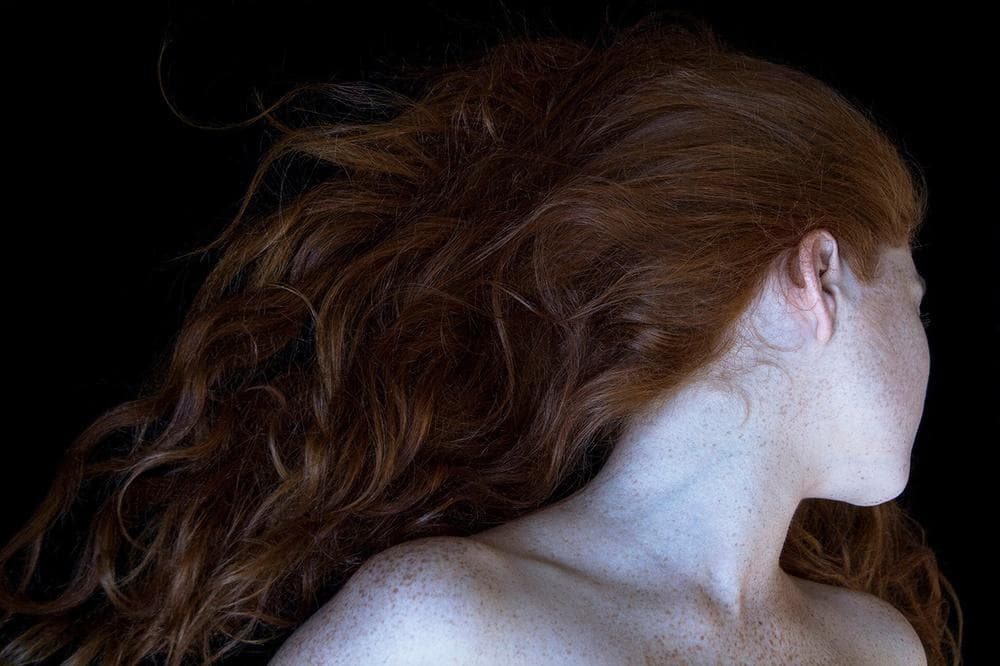 Galateas /Carla Van de Puttelaar★値下げしました