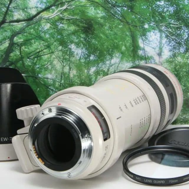 ☆光学超美品の白レンズ♪canon EF 35-350mmL F3.5-5.6☆