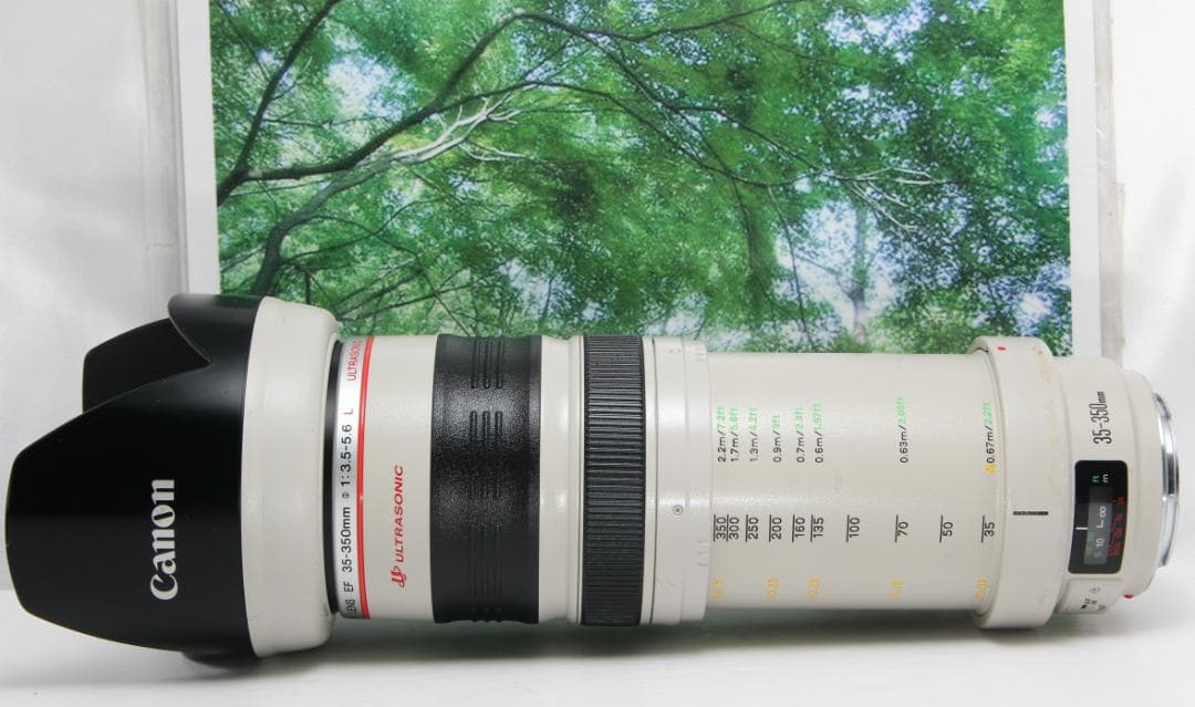 ☆光学超美品の白レンズ♪canon EF 35-350mmL F3.5-5.6☆