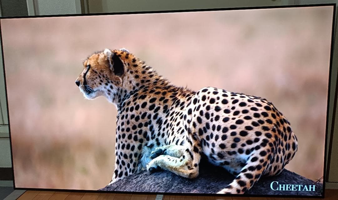 美品 65V型 LG貼るテレビ OLED65W8P 最上位モデル 定価87万円 - メルカリ