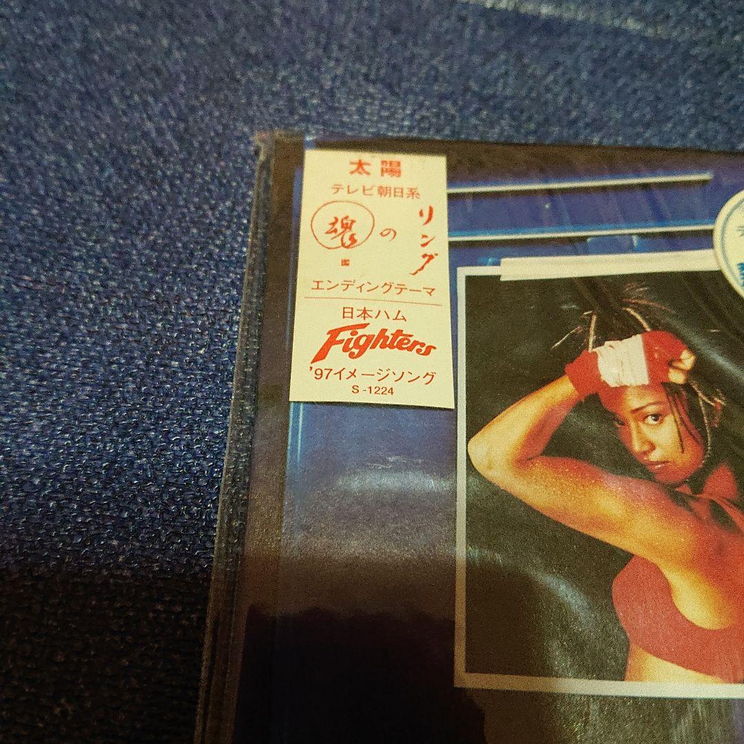 Tsunami 8センチシングル8cmCDS短冊 太陽 / Dear... 邦楽