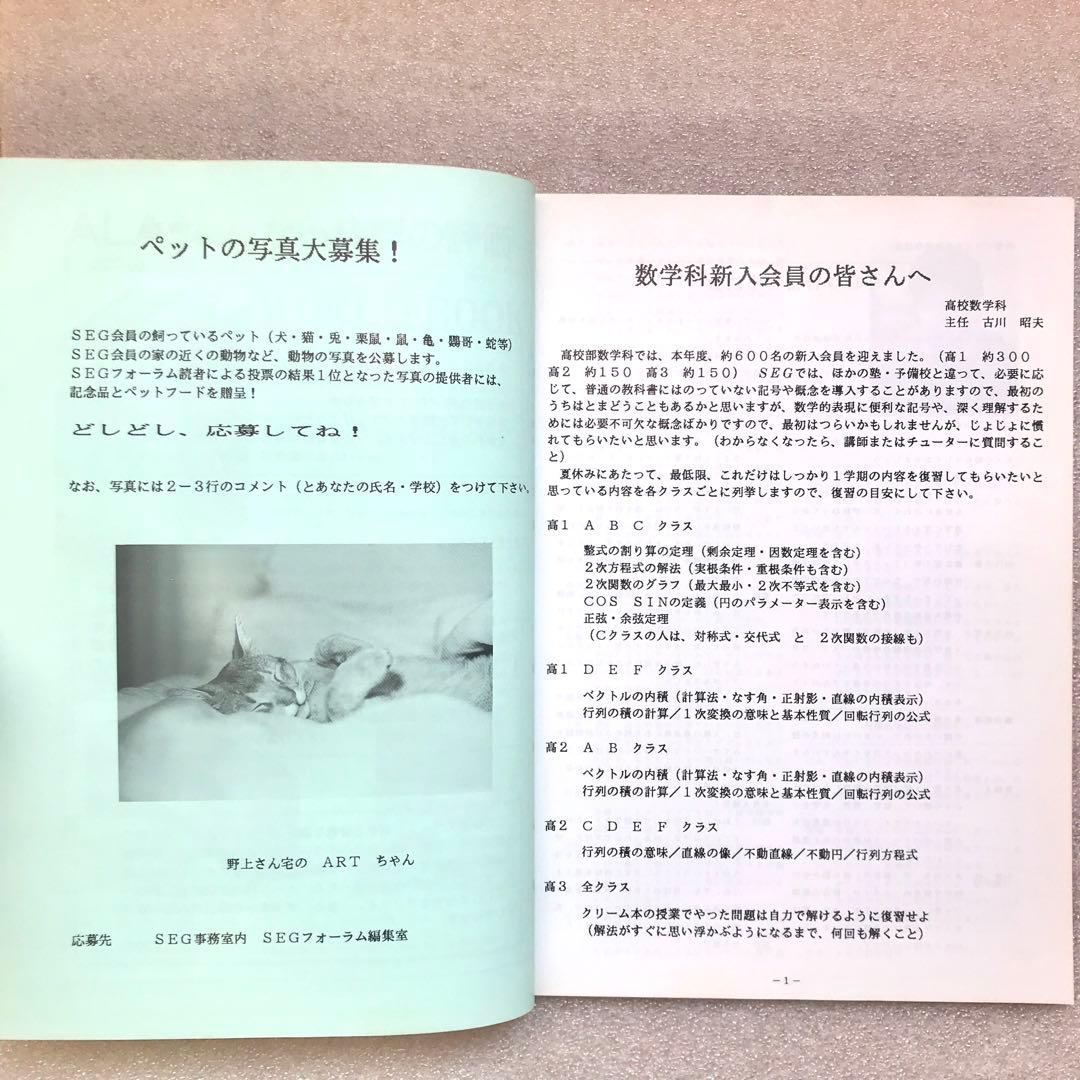 超入手困難】SEG FORUM No.9 古川昭夫,雲幸一郎