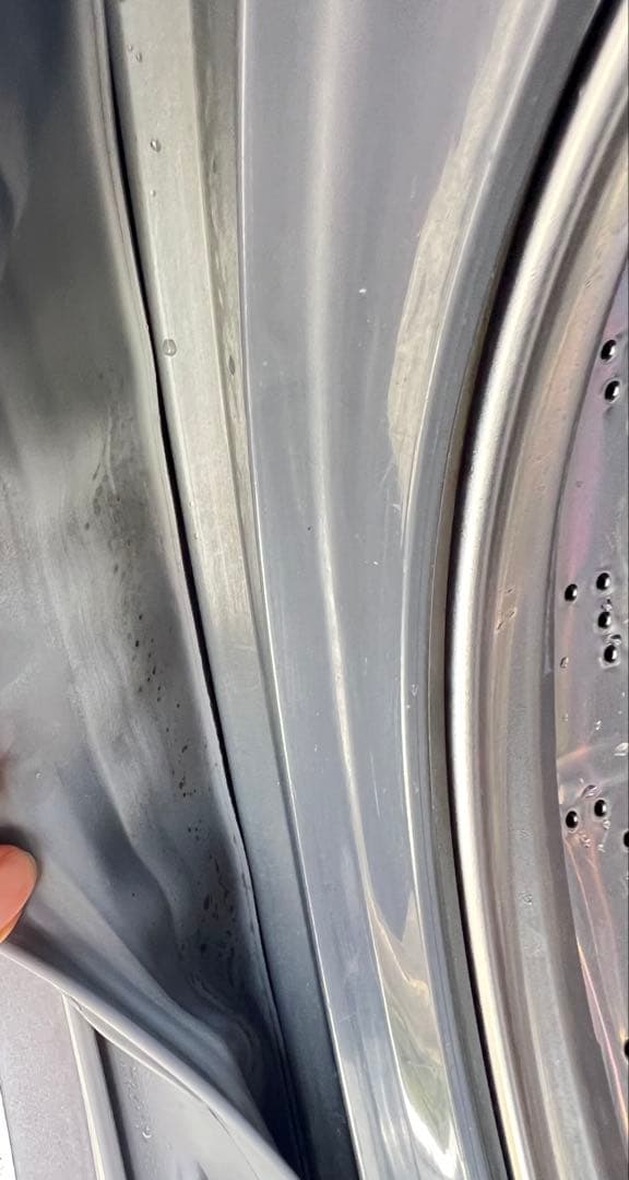 Panasonic ドラム式洗濯機 NA-VX9900L 10.0kg