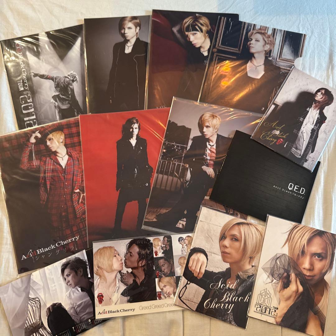 Acid Black Cherry グッズセット まとめ売り - メルカリ