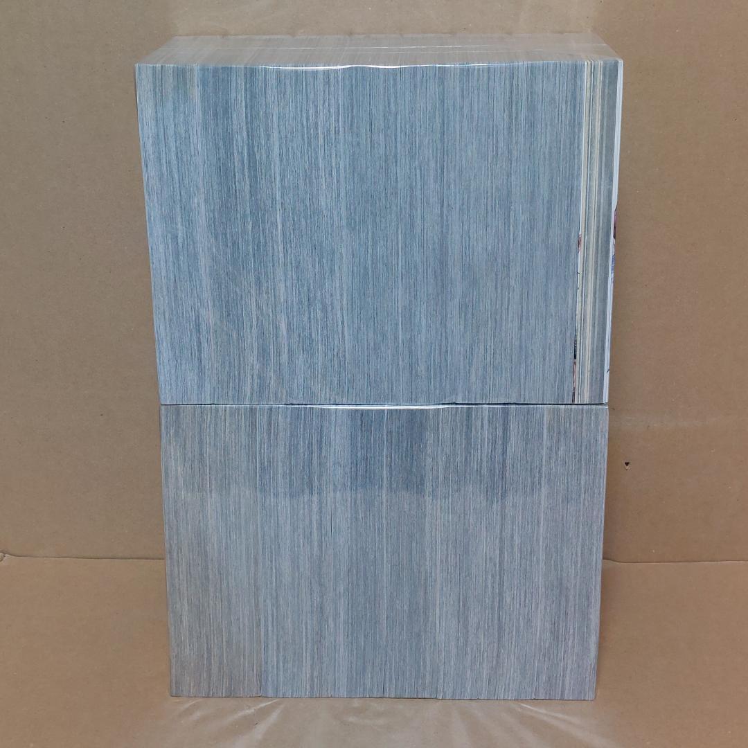 ゴールデンカムイ 集英社REMIX 全14巻セット +公式ファンブック - メルカリ