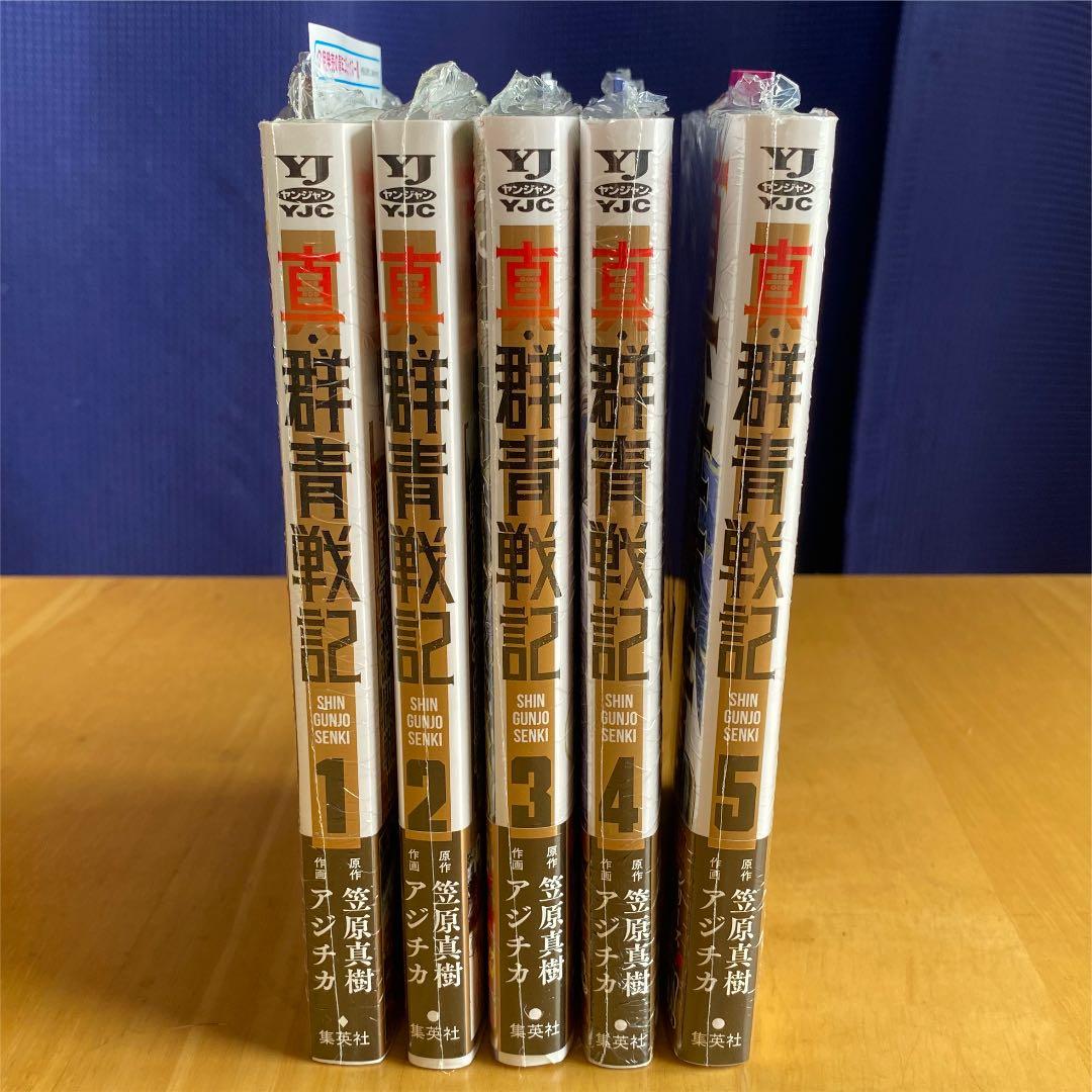 真・群青戦記 初版、帯付、シュリンク未開封、特典 - メルカリ