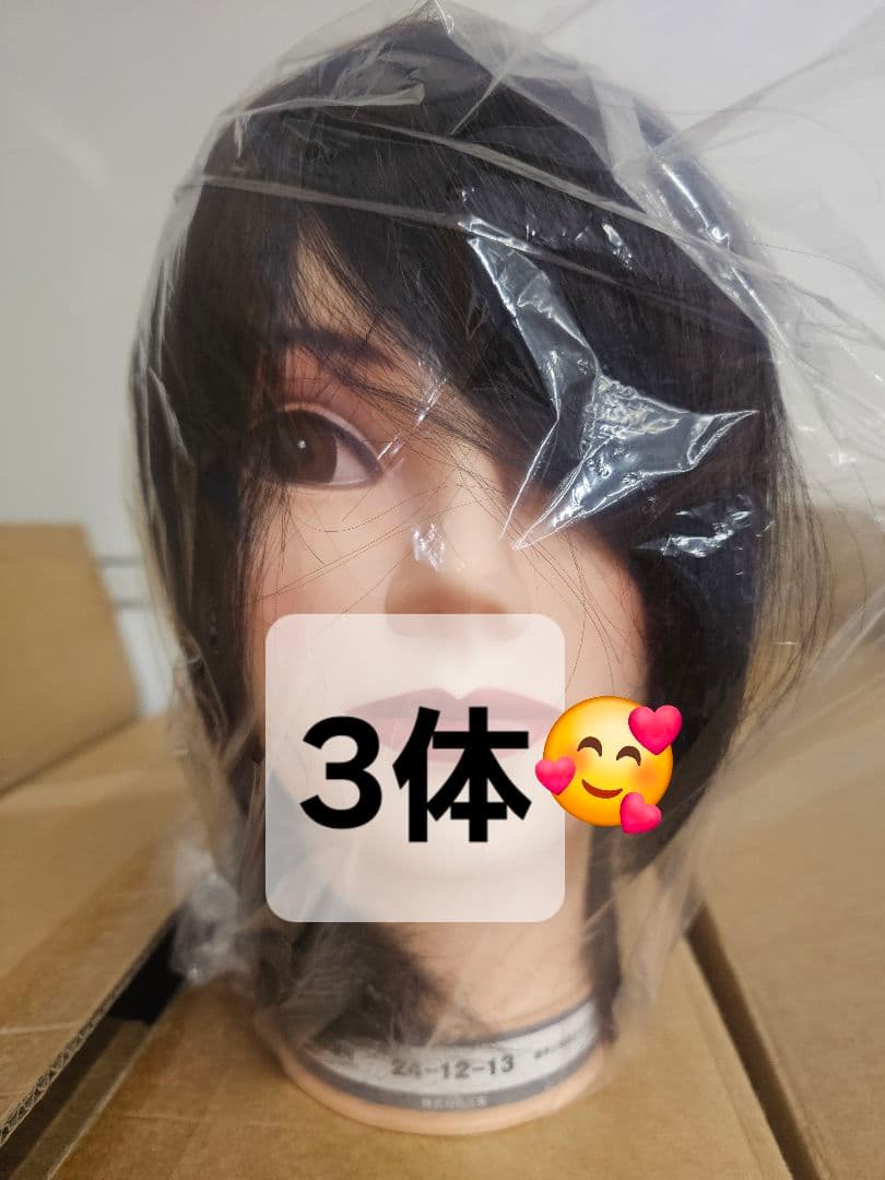 美容師国家試験本番用　三矢カットウィッグ3体 美容師国家試験実技課題試験用ウィッグ東京チャーム(三矢)No.24-12-13