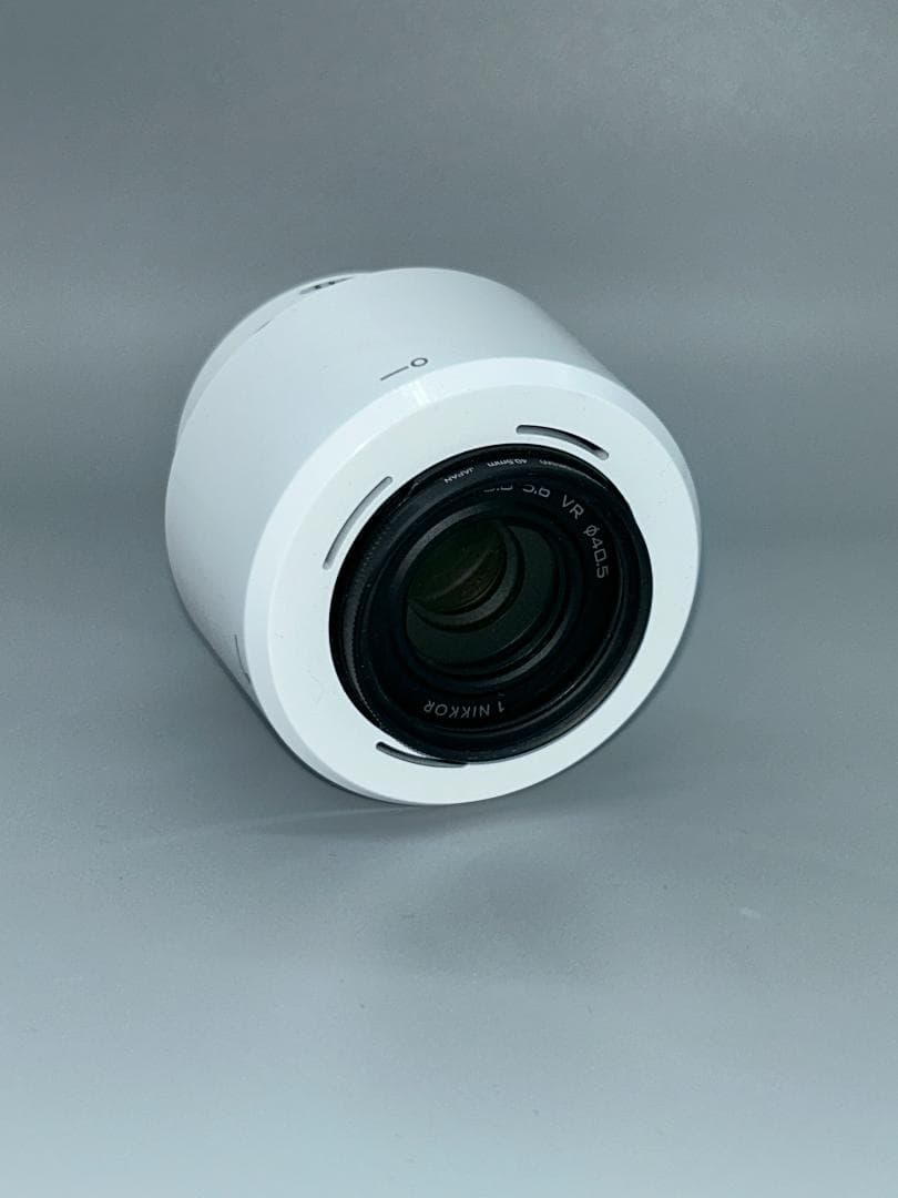 望遠ズームレンズ 1 NIKKOR VR 30-110mm f/3.8-5.6