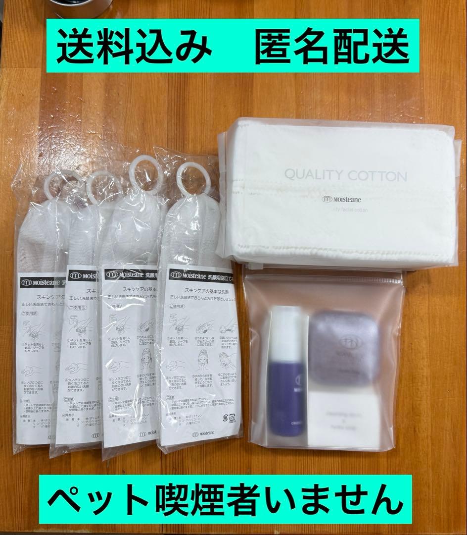 モイスティーヌ 洗顔セット 洗顔用泡立てネット 4個 コットン1個
