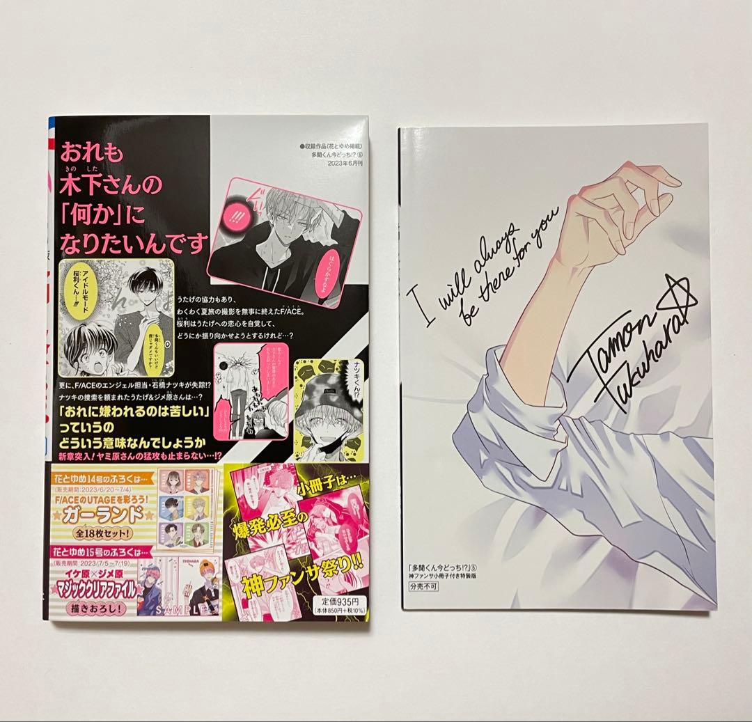 多聞くん今どっち!? 小冊子付き特装版 5巻 - メルカリ