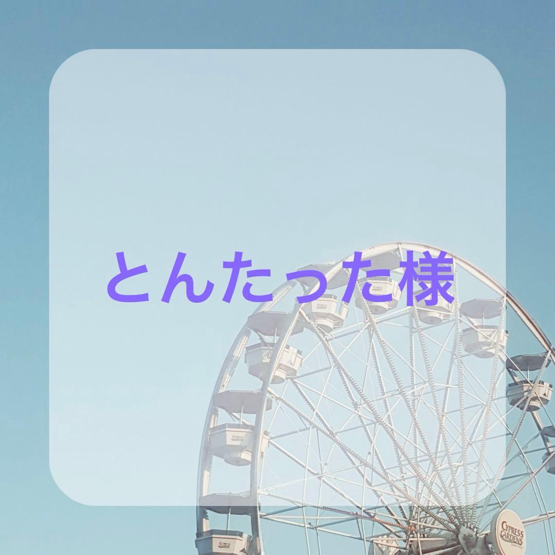 〈とんたった様〉ウィッグオーダー専用ページ コスプレウィッグオーダー 専用ページ【結い上げ専用】忍たま乱太郎