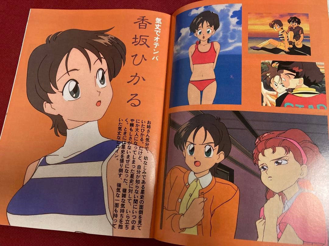 完品 雑誌 アニメージュ 1993年（平成5年）3月号 表紙/風の谷の