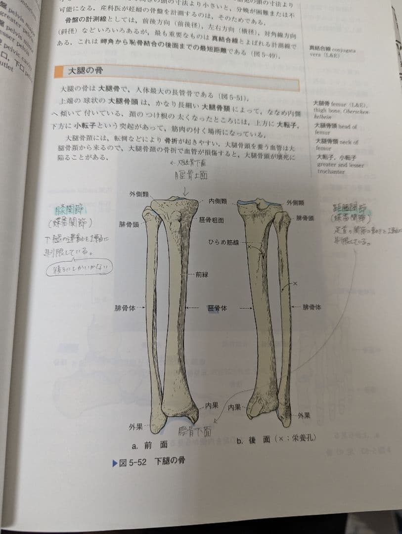 バラ売り可】栄養士 教科書 まとめ売り 書き込みあり