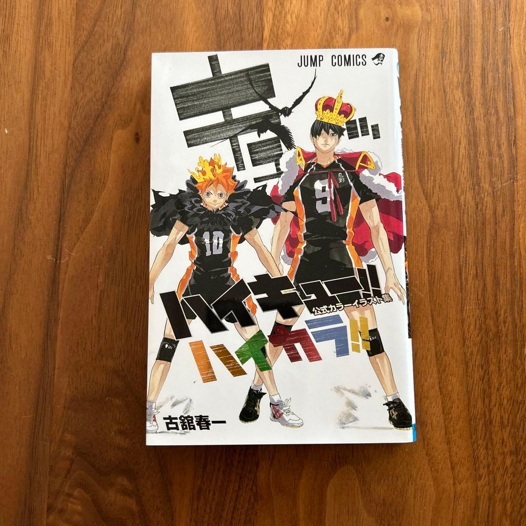 ハイキュー!! 終わりと始まり 画集 ガイドブック まとめ売り イラスト