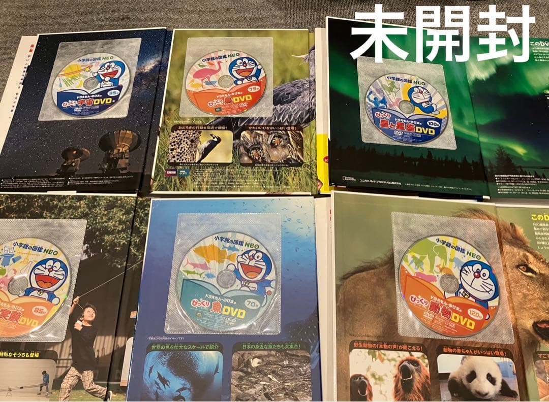 小学館図鑑neo 恐竜 昆虫 動物 きのこ 図鑑 DVDのみ びっくり